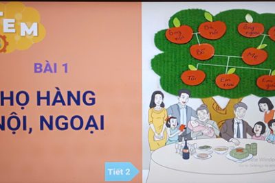 TIẾT DẠY HỌC STEM TRONG MÔN TỰ NHIÊN VÀ XÃ HỘI CỦA CÔ TRÒ LỚP 3A TRƯỜNG TIỂU HỌC XUÂN TRUNG Năm học: 2025 – 2026